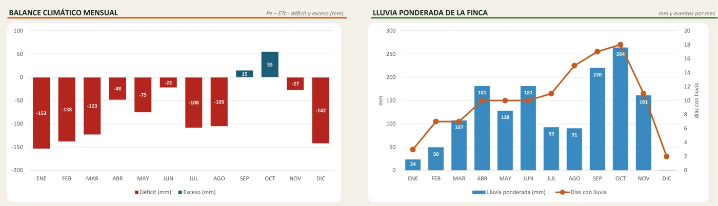 Gráficas del balance mensual y de la lluvia de la finca